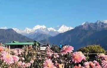 Heart-warming 8 Days Bagdogra to Darjeeling Tour Package