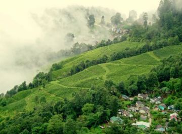 Beautiful 3 Days 2 Nights Gangtok, Darjeeling and Siliguri Trip Package