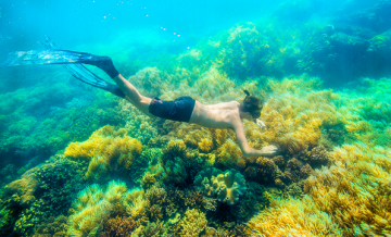 5 Days 4 Nights Havelock Island Tour Package