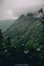 Memorable Colombo Tour Package for 7 Days 6 Nights