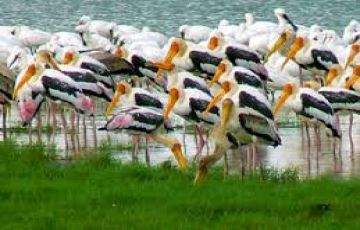 Memorable Colombo Tour Package for 7 Days 6 Nights