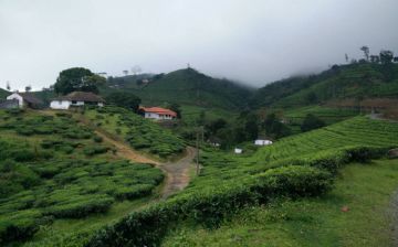 Vagamon and Coimbatore Tour Package from Coimbatore