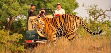 Beautiful Jim Corbett Tour Package for 5 Days