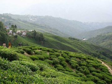 Amazing Darjeeling Tour Package for 5 Days 4 Nights
