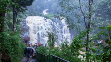 Magical 3 Days Bangalore to Coorg Tour Package