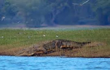 Ecstatic 3 Days 2 Nights Pench Trip Package