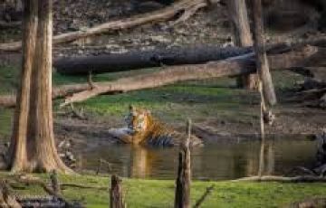 Magical 3 Days 2 Nights Pench Vacation Package
