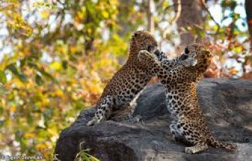 Guwahati Tour Package for 4 Days 3 Nights