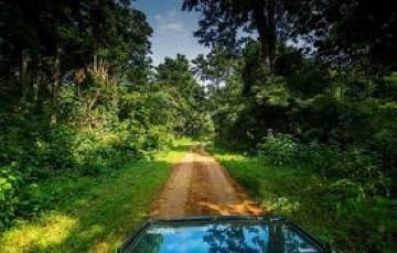 Magical Guwahati Tour Package for 4 Days 3 Nights