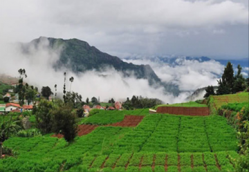 Ecstatic 6 Days 5 Nights Ooty Holiday Package