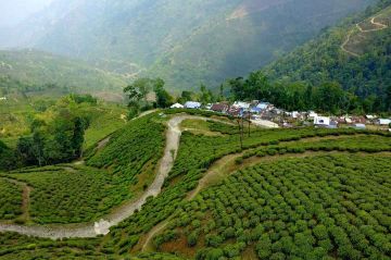 Heart-warming 3 Days Bagdogra with Darjeeling Tour Package