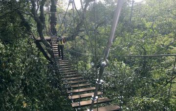 Beautiful 14 Days PHNOM PENH to Siem Reap Tour Package