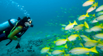 Best 5 Days Port Blair Tour Package