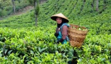 Heart-warming Thekkady Tour Package for 5 Days 4 Nights from Kochi