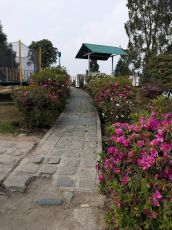 Memorable Kalimpong Tour Package for 4 Days 3 Nights from Njpbagdogra Airport