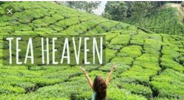 Magical 6 Days Kochi to Athirapally Trip Package