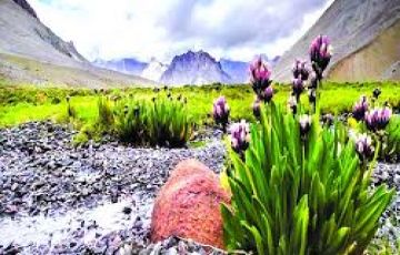 Heart-warming 7 Days 6 Nights Leh Tour Package