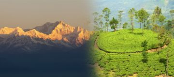 Magical Bagdogra Tour Package from Gangtok