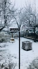 Manali with Delhi Tour Package for 4 Days 3 Nights from Delhi