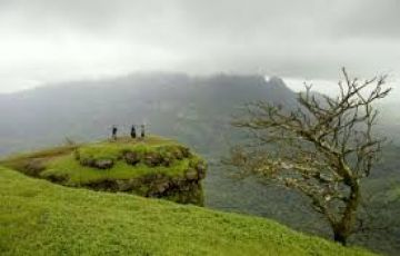 Magical Wayanad Tour Package for 6 Days from Calicut