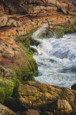 Best 6 Days Cochin, Munnar, Thekkady with Alleppey Trip Package