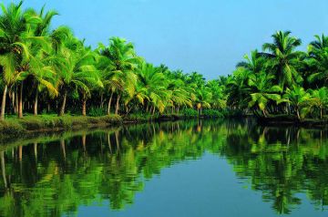 7 Days Munnar, Thekkady and Alleppey Vacation Package