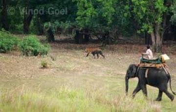 Magical 14 Days Delhi to Kalimpong Trip Package