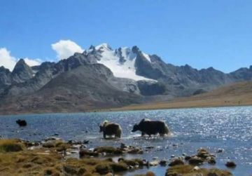 Pleasurable Sikkim Tour Package for 2 Days 1 Night