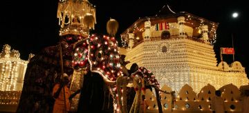 Pleasurable 4 Days 3 Nights Colombo Air Port Tour Package