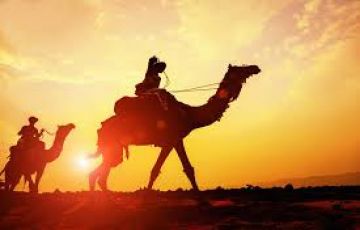 Ecstatic 8 Days Udaipur to Bikaner Tour Package