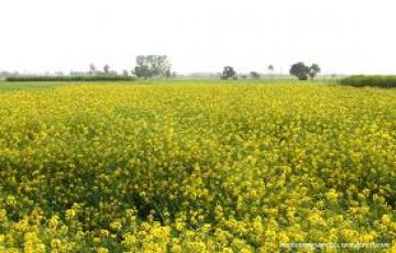 5 Days 4 Nights Katra, Vaishno Devi, Jammu and Amritsar Trip Package