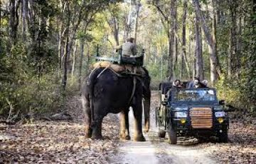 Memorable Mussoorie Tour Package for 11 Days