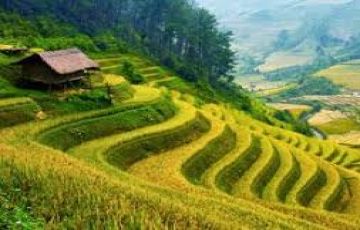 Amazing Darjeeling Tour Package for 6 Days 5 Nights