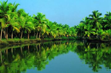 Ecstatic 5 Days Cochin to Munnar Holiday Package