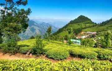 Pleasurable Lachung Tour Package from Darjeeling