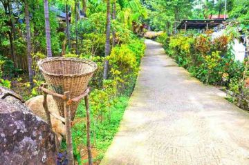 Experience 7 Days Guwahati, Kaziranga, Shillong with Cherrapunjee Trip Package