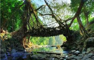 Experience Shillong Tour Package from Guwahati