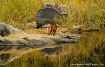 Magical 7 Days Guwahati to Cherrapunjee Holiday Package