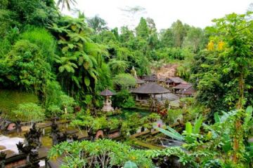 Tour Package for 7 Days from Bali