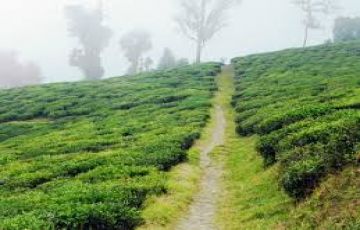 Pleasurable 5 Days Darjeeling to Pelling Vacation Package
