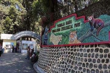 5 Days 4 Nights Darjeeling Tour Package by Travel Heights