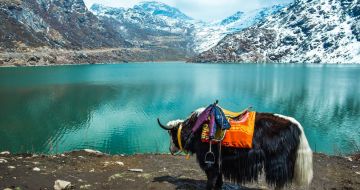 4 Days 3 Nights Gangtok Tour Package by Travel Heights