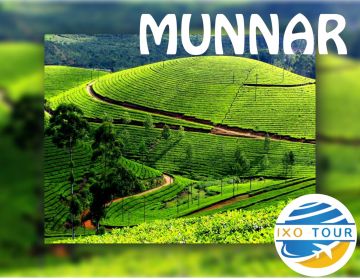 Family Getaway 4 Days Munnar, Alleppey with Cochin Vacation Package
