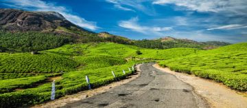 8 Days 7 Nights Cochin, Munnar with Thekkady Holiday Package