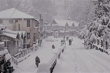 Best Chandigarh Tour Package for 4 Days