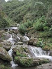 Family Getaway 7 Days Bagdogra to Darjeeling Trip Package