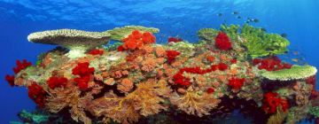 Memorable 8 Days 7 Nights Kolkata, Port Blair and Havelock Island Vacation Package