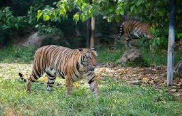 Beautiful 6 Days Cochin, Munnar with Thekkady Tour Package