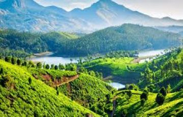 Beautiful 6 Days Cochin, Munnar with Thekkady Tour Package