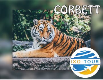 Magical 4 Days Corbett with Delhi Holiday Package